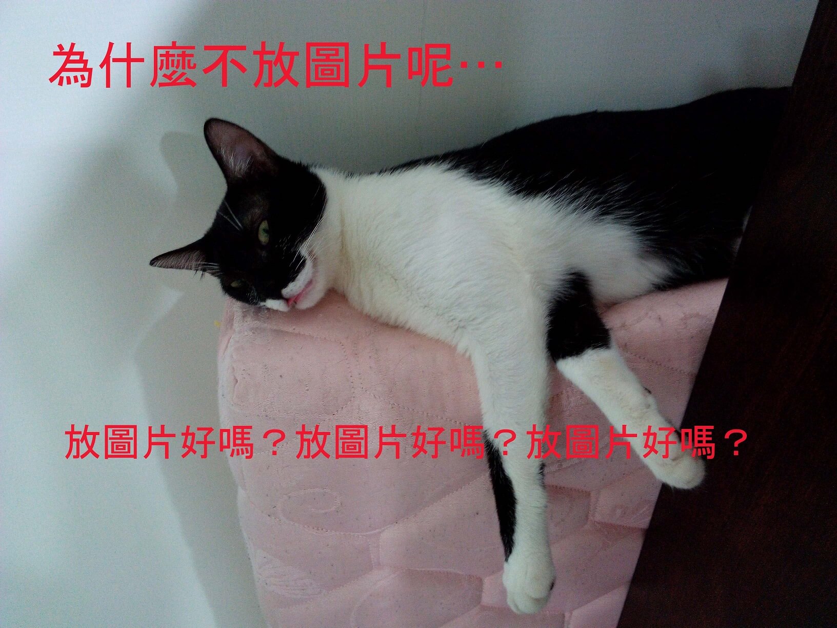 封面圖